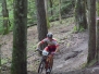 2014 - Tagna av Leif Davidsson - Skogen