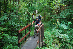 2016 - Tagna av Herman Larsson